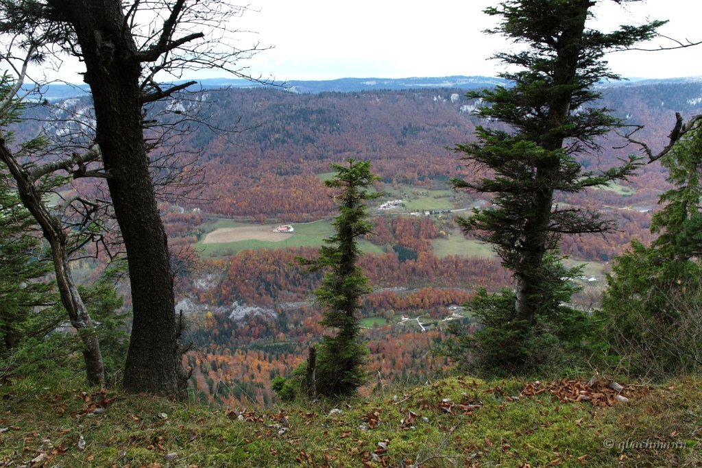 20101030_224